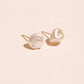 Freshwater Pearl Stud Earrings